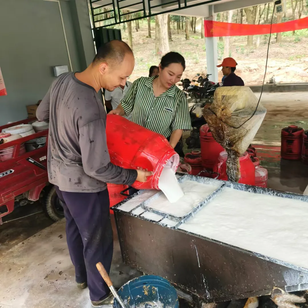 1727419590008080170.jpg 1727419590008080170.jpg